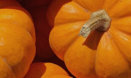 Nueva Oda con la calabaza en el centro