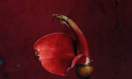 ‘Botanica Amoris’, un homenaje a la sensualidad floral