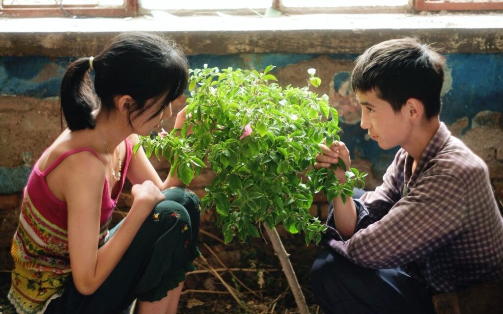 Cine de raíz y memoria en el ecuador de Cinema Jove