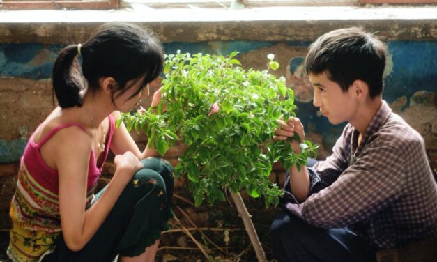 Cine de raíz y memoria en el ecuador de Cinema Jove