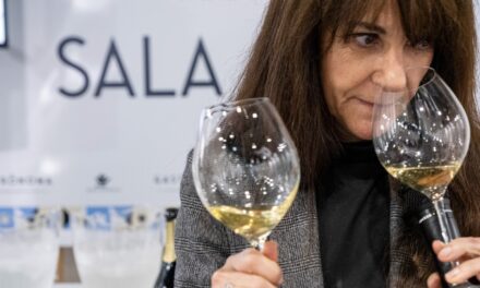 Wine Experience: un viaje sensorial por el vino