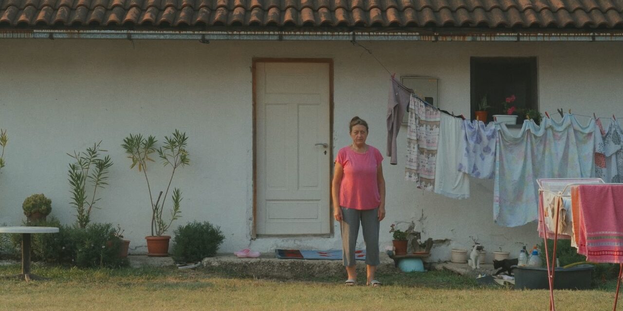 La Mostra une música de cine y mediometraje en su 40 aniversario
