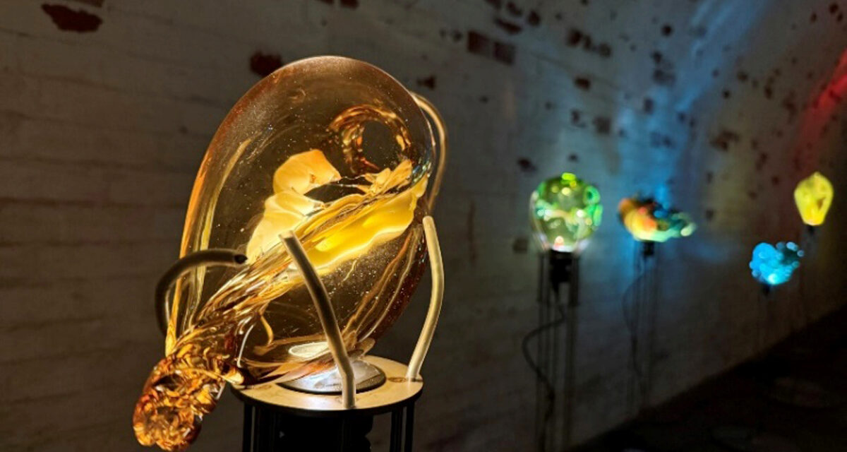 El IVAM apuesta por la apertura de nuevas redes