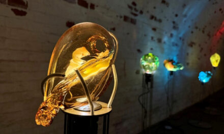 El IVAM apuesta por la apertura de nuevas redes