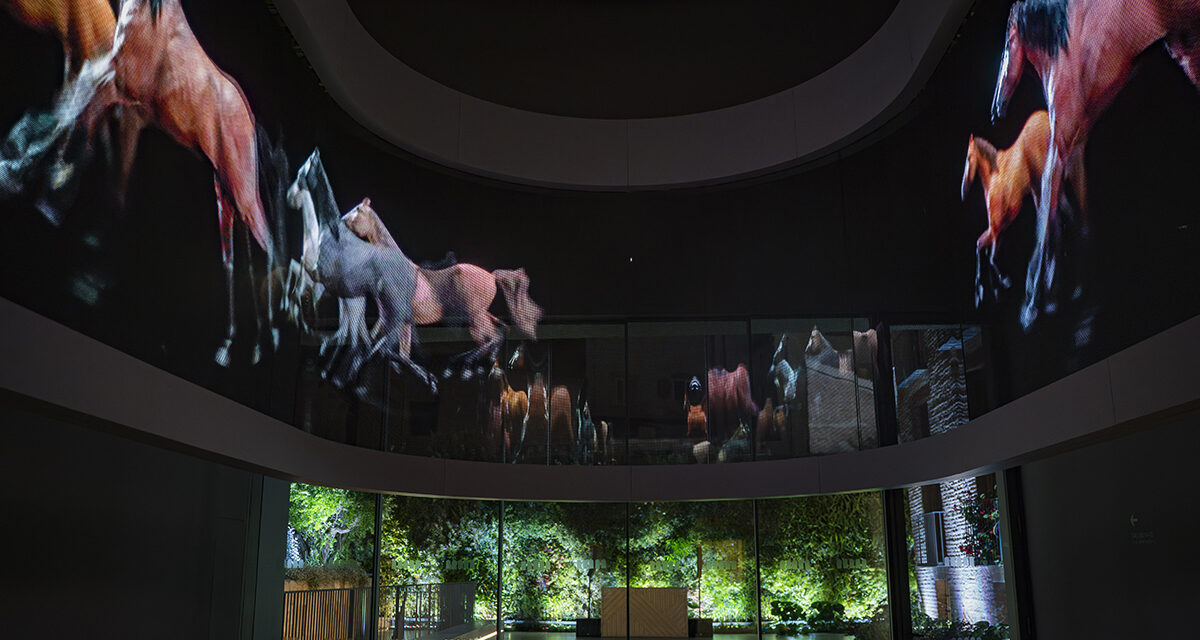 El CAHH prepara un programa especial para familias en Navidad