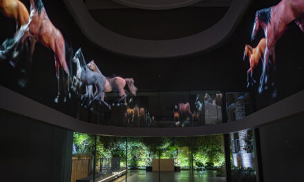 El CAHH prepara un programa para familias en Navidad