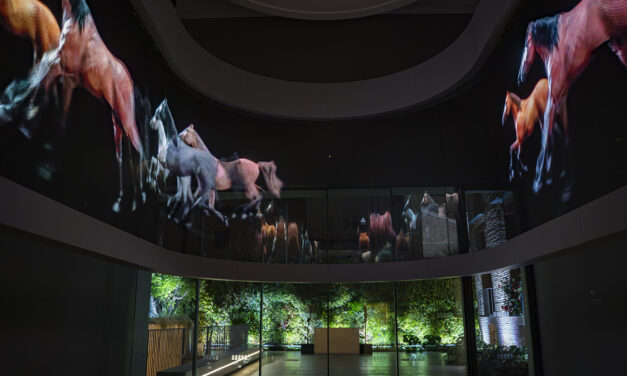 El CAHH prepara un programa especial para familias en Navidad