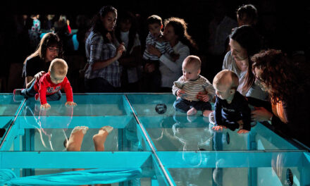 ‘Aupapá’, un espectáculo de danza en el que los bebés interactúan