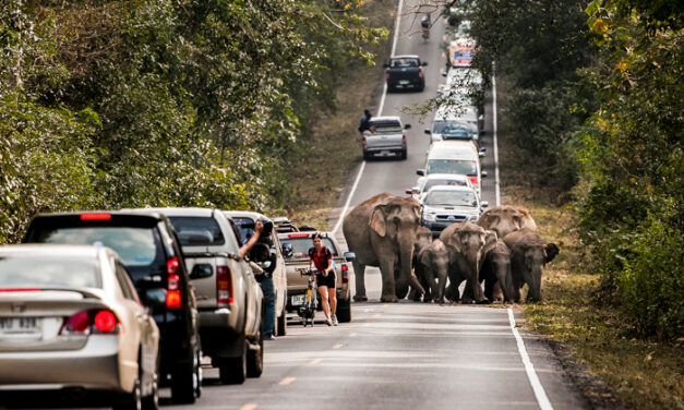 ‘Evolució’, un viaje fotográfico sobre la vida y sus transformaciones