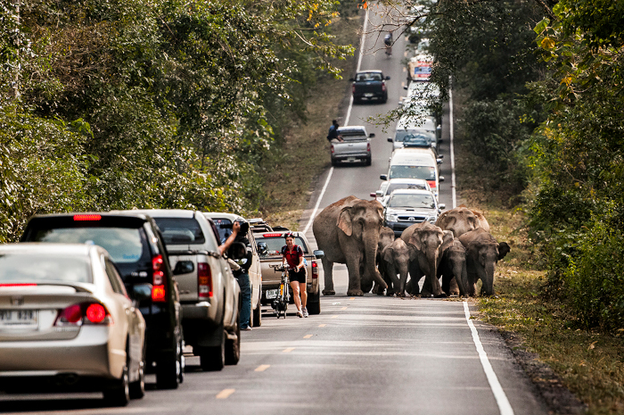 ‘Evolució’, un viaje fotográfico sobre la vida y sus transformaciones