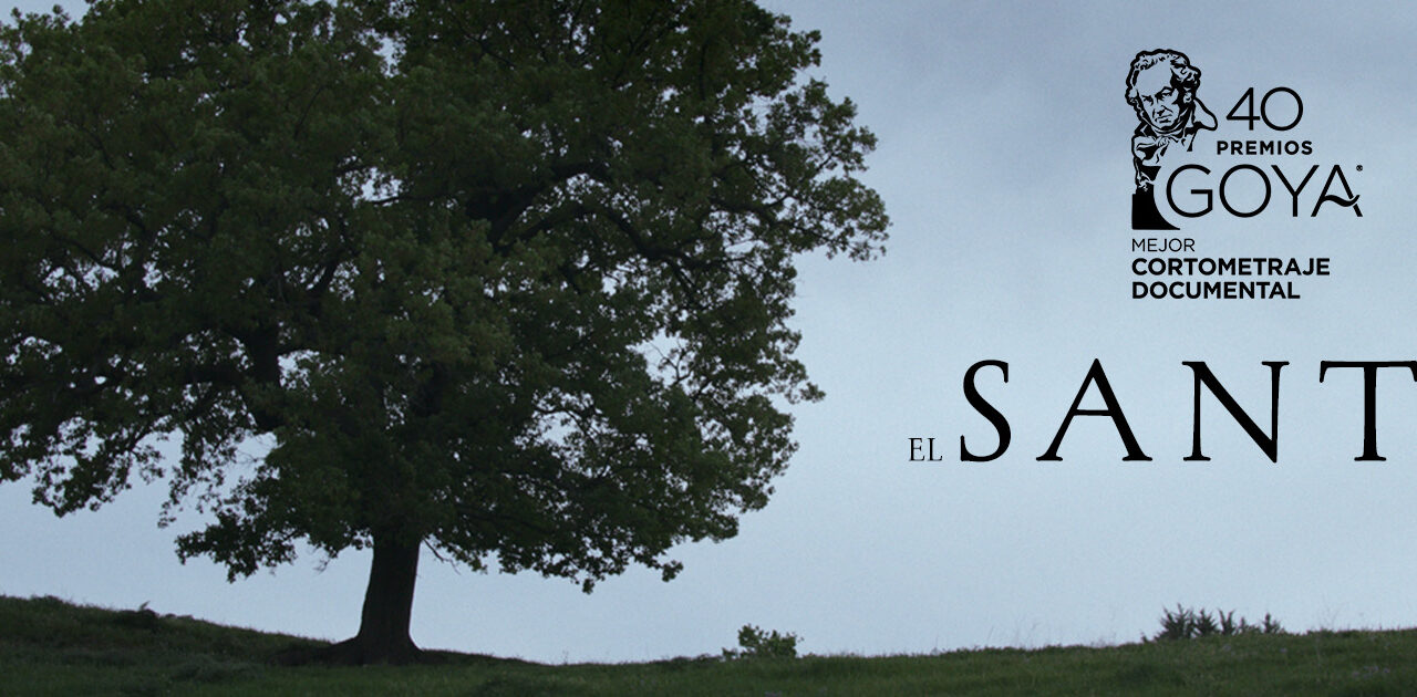 El pulso del documental valenciano marca la décima edición de DocsValencia