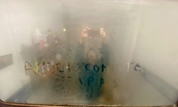 La Mutant explora el tiempo y la norma en Zona Grisa