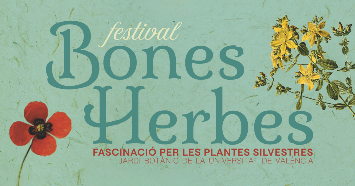 La cultura de las plantas silvestres florece en el Botànic con ‘Bones Herbes’