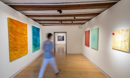 El Centro de Arte Hortensia Herrero renueva su selección de Abierto València