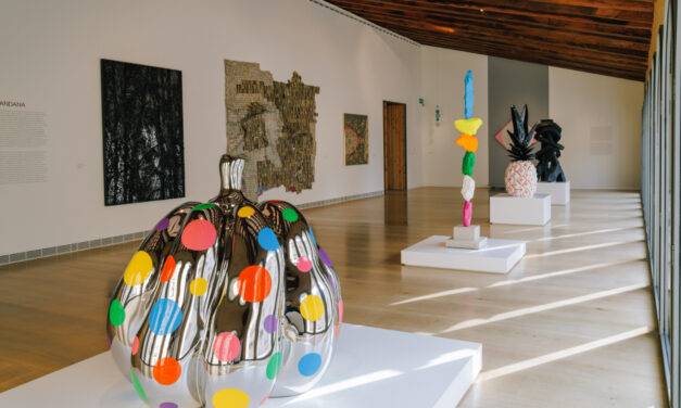 El Centro de Arte Hortensia Herrero presenta más de 40 nuevas obras de su colección