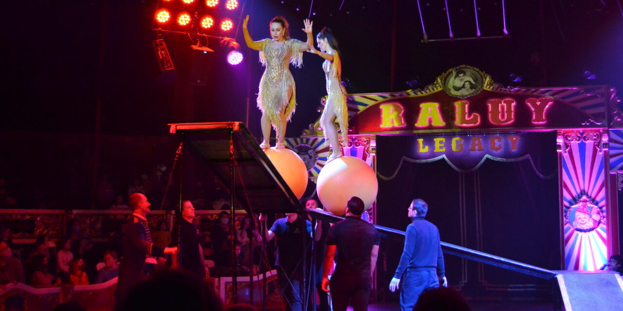 La nueva «locura» del Circo Raluy Legacy llega a València